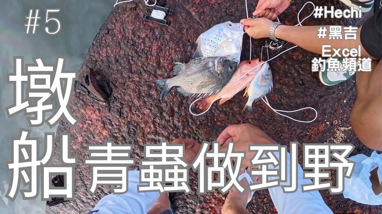 香港釣魚丨墩船 青蟲做到野丨hechi 黑吉l岸釣丨24.06.2025 l #釣り #釣魚 #香港釣魚 #hechi #黑吉 #fishing #步兵 #岸釣