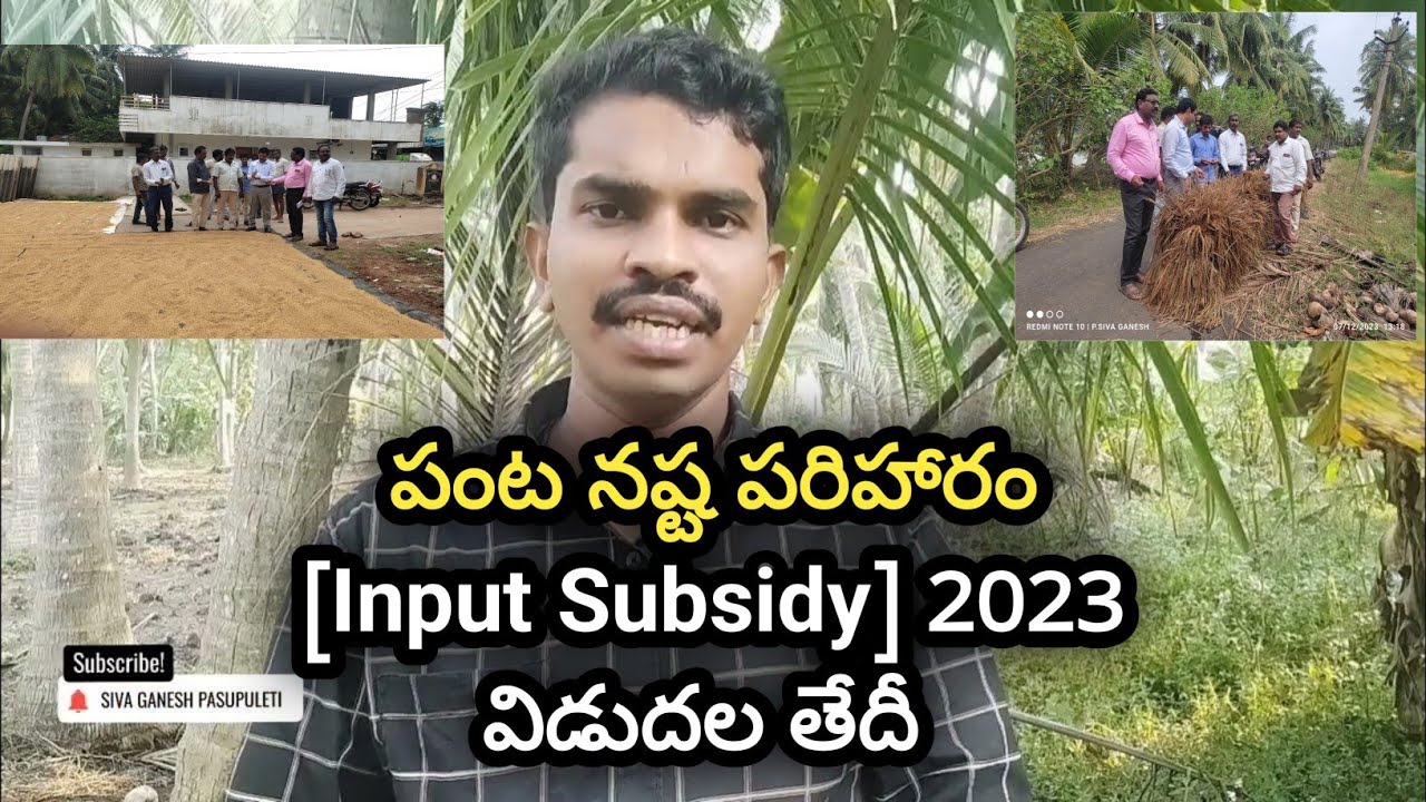Input Subsidy for AP Farmers 2023 - Panta Nasta Pariharam in AP 2023 || Siva Ganesh Pasupuleti