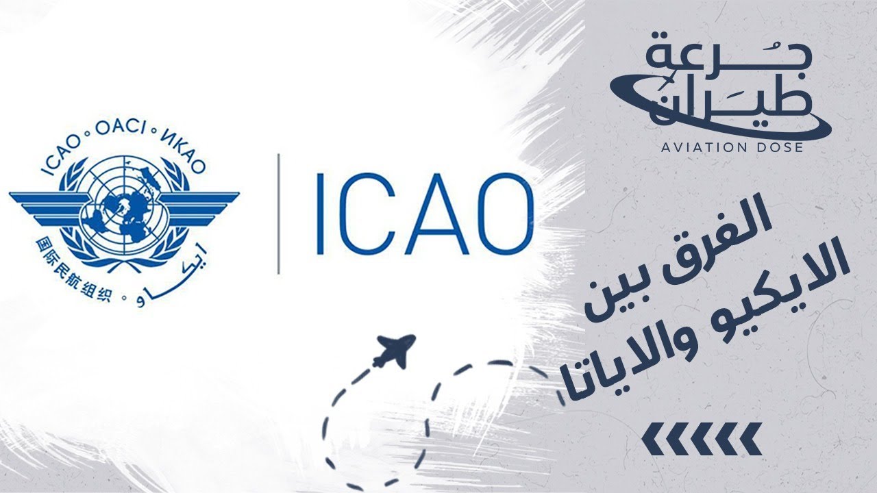 الفرق بين الايكو والاياتا