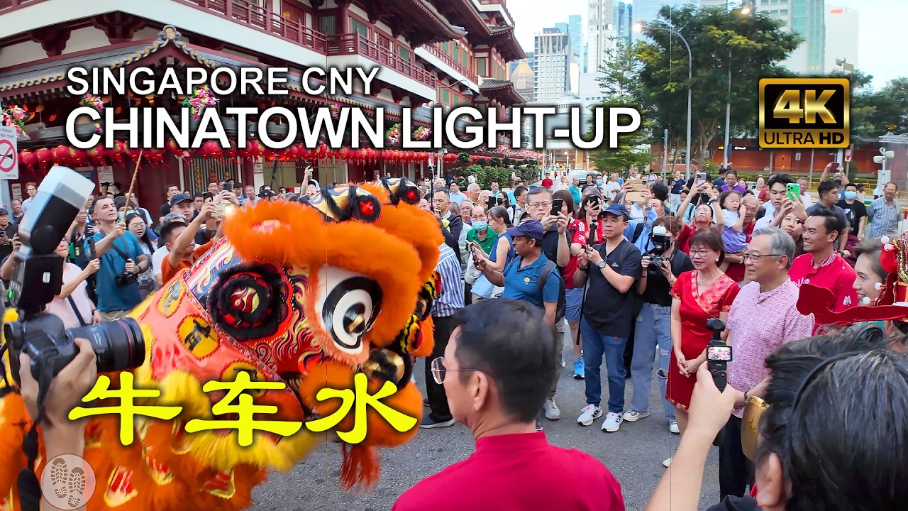 Singapore Chinese New Year 2025| 牛车水 | Chinatown Light-Up | Temple Street CNY Market