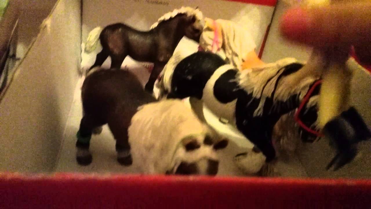 Schleich film folge 1 die beste Freizeitreiterin und die beste Springreiterin