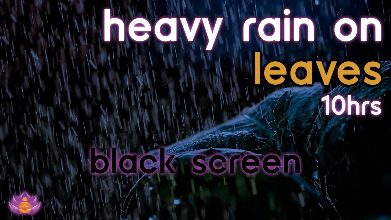 [Black Screen] Heavy Rain on Leaves | Rain Ambience No Thunder | Rain Sounds for Sleeping