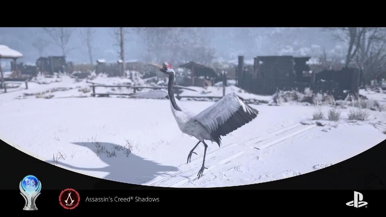 Assassin's Creed Shadows ♥️ بلاتينيوم