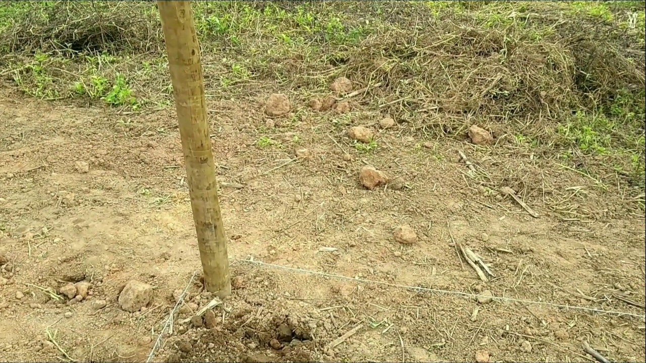 Cerca para horta de tela