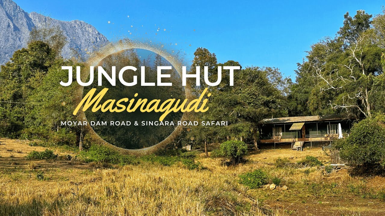 Jungle Hut | Resort in Masinagudi | Moyar Dam Road Safari | Singara Road Safari | Jungle Hut Tent
