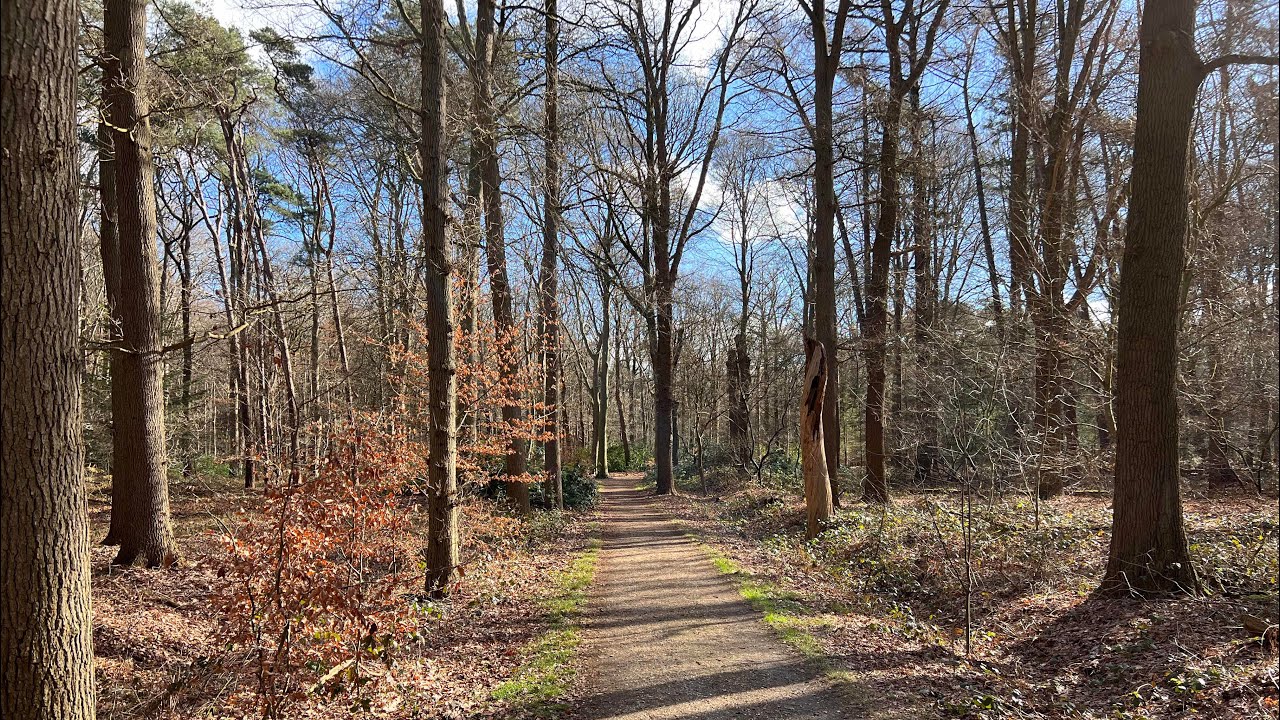 GRAVEL/MTB route: Weelde - Poppel - Hilvarenbeek - Lage Mierde - Reusel - Ravels-Eel - Weelde