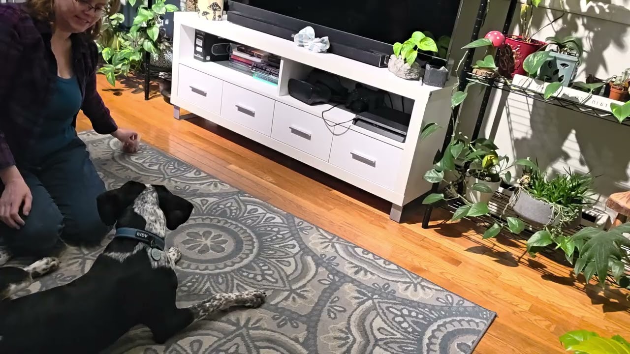 Rollover attempt 2