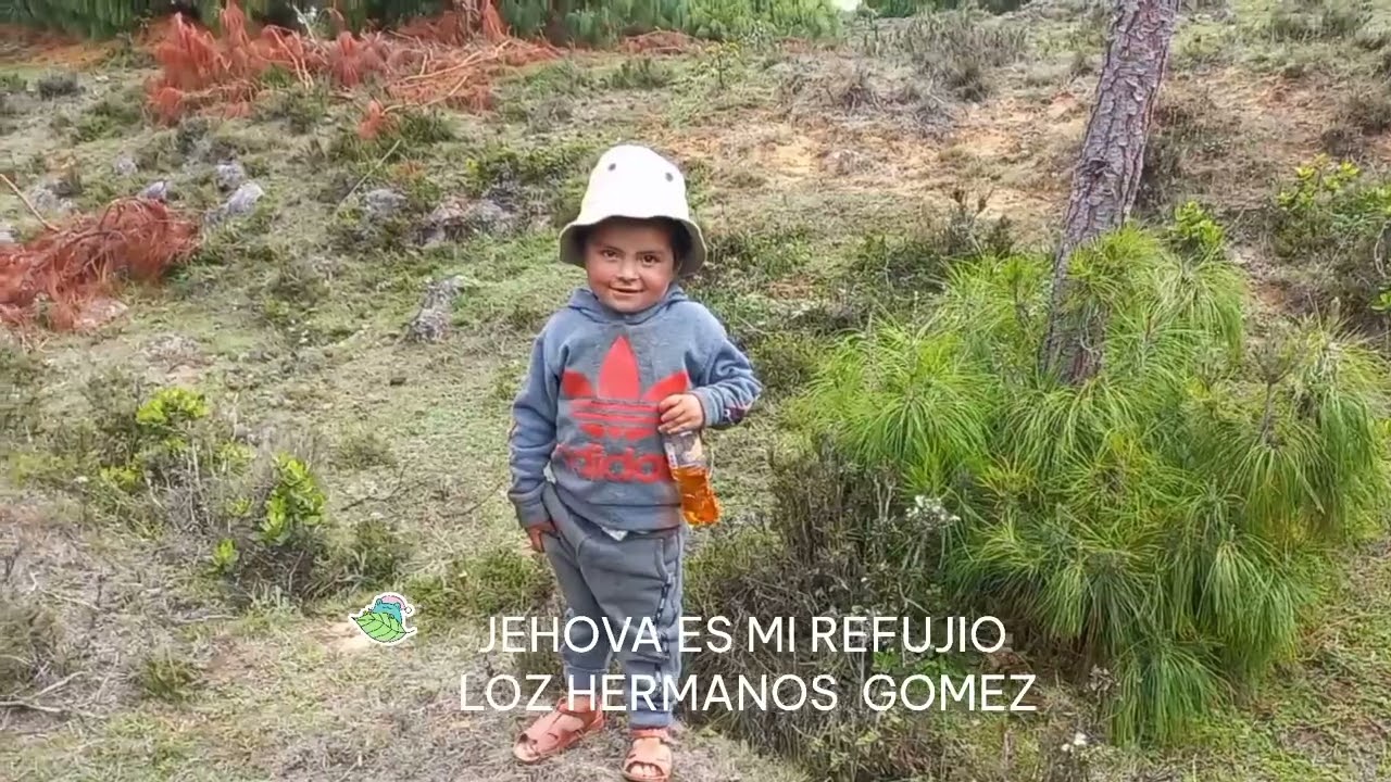 Cua la mar ermosa los hermanos Gómez