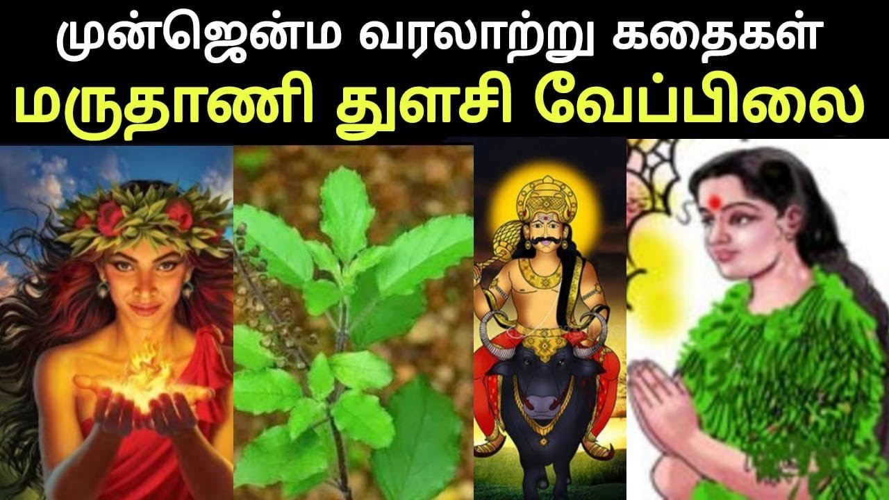 எமனிடம் வரம் பெற்ற மரம் செடிகளின் முன்ஜென்ம கதைகள் | Previous birth stories | Sun tv Live Tamil