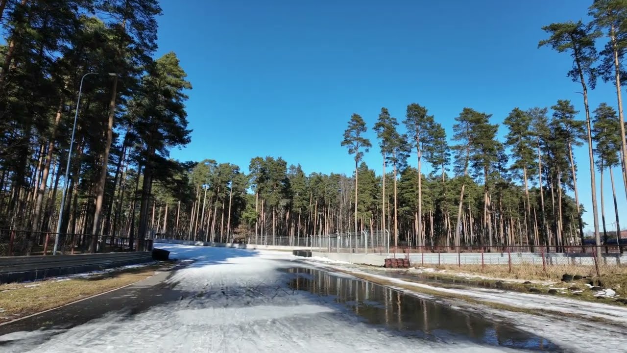 4K UHD ASMR Walk | Snowy Pine Forest | Immersive Nature Ambience (No Music)