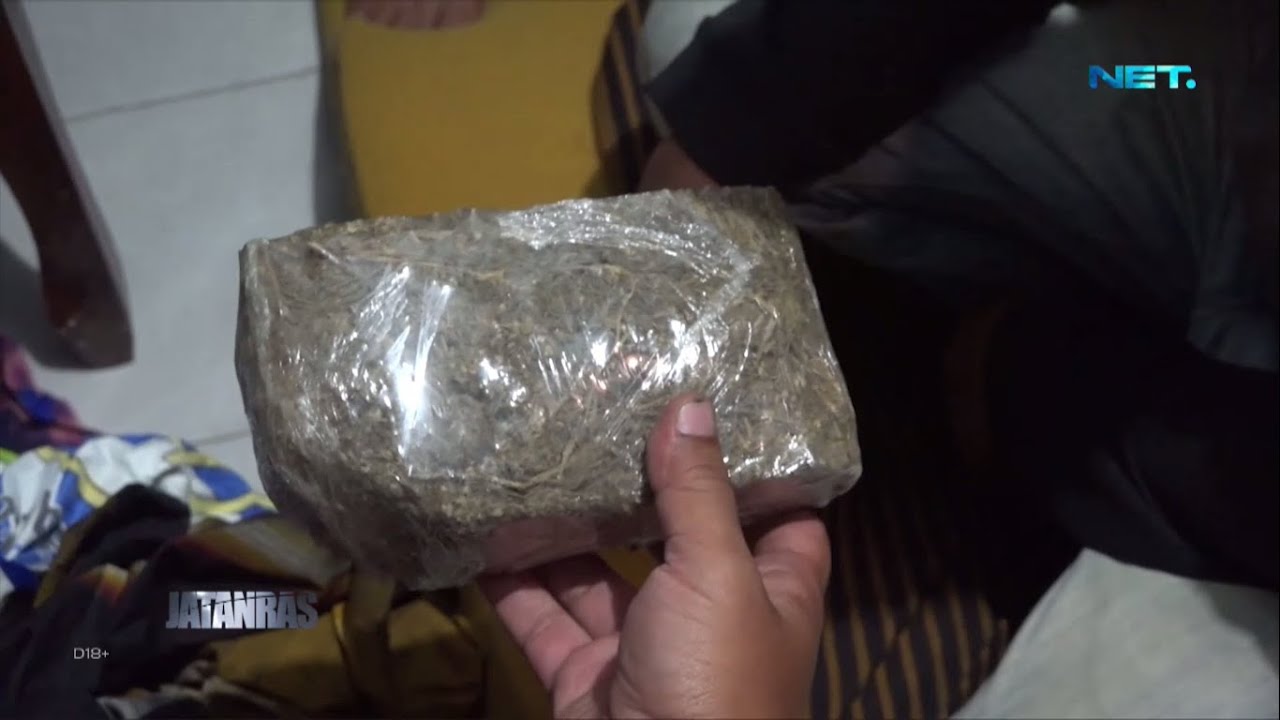 Reserse Narkoba Polres Malang Berhasil Amankan Bandar Ganja - JATANRAS