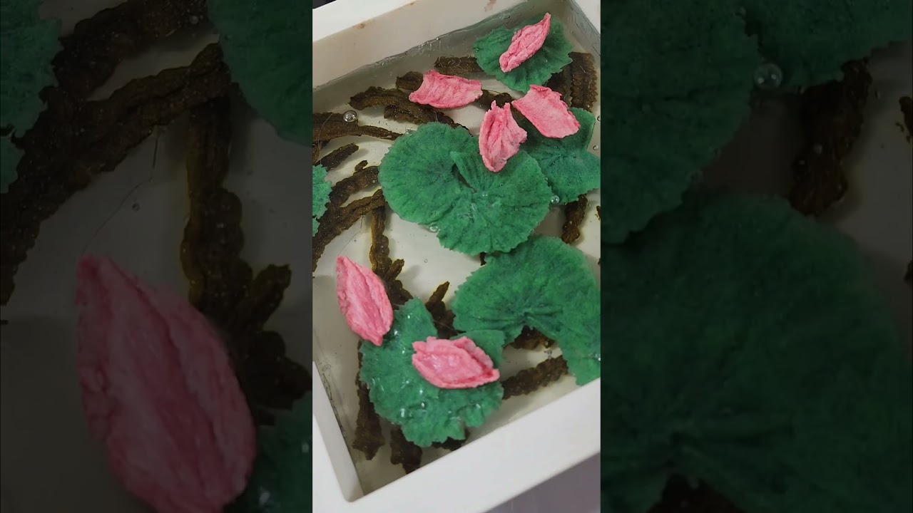 Flower Soap(Lotus)/레이어드 플라워 염석비누(연꽃)|Traditional Soaping우리집비누공작실