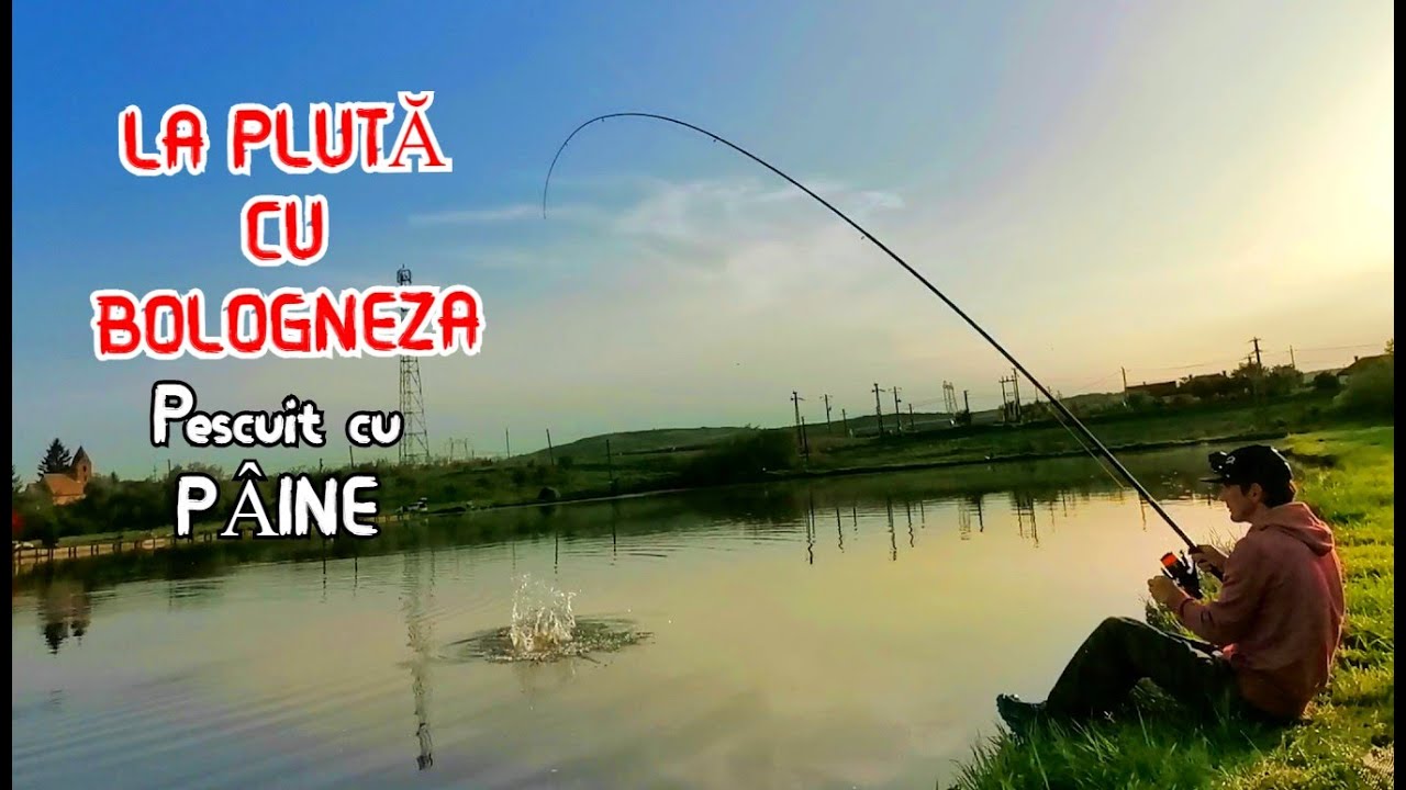 Pescuit CU BOLO LA AMUR SI CRAP LA PLUTA - Trasaturi si Driluri Incredibile - cu Bolognesa LA PÂINE