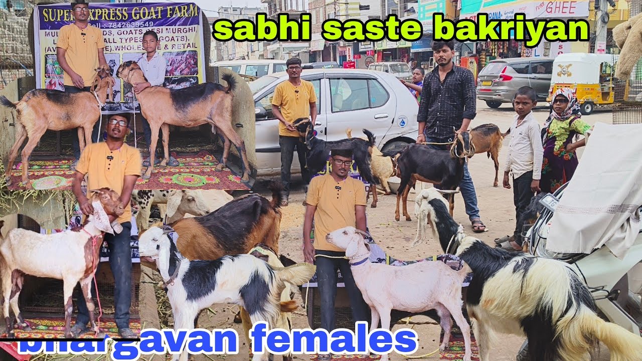 Multiple bread hai bhargava bakriya bhargavan kotha available