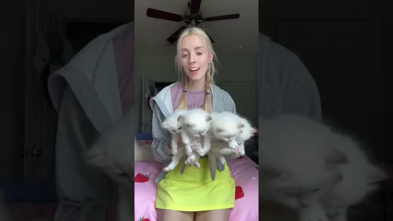 This video took so long to make, but it was cool to see the transformation of Summer's kittens