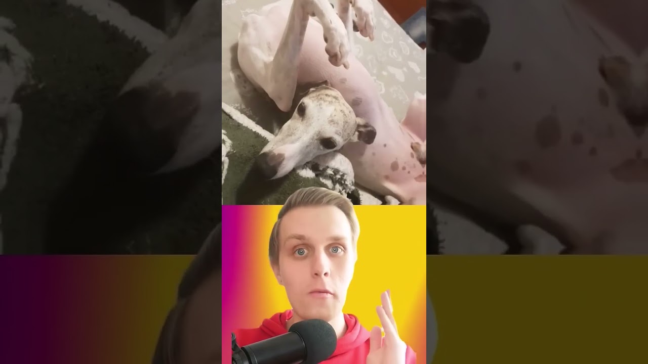 Diese Fotos bringen einfach alle zum Staunen! 🤯😮
