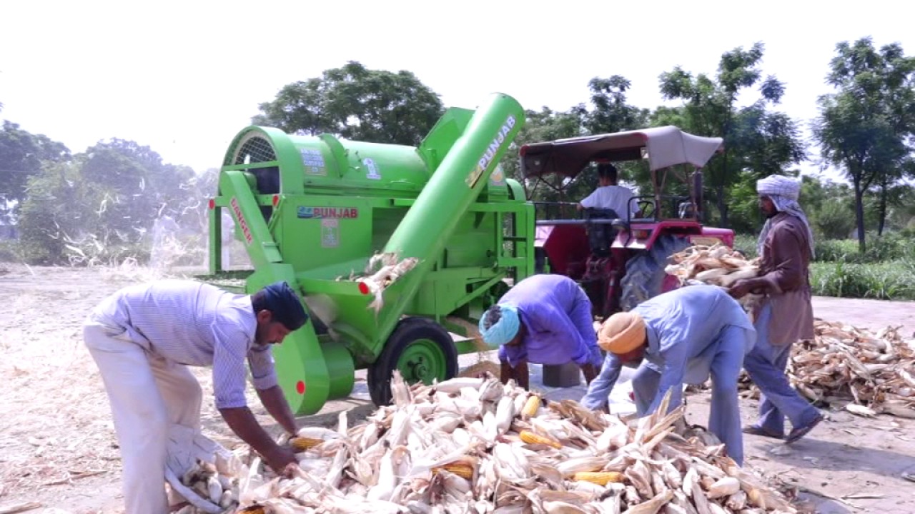 Maize Sheller ( P-44)  PUNJAB AGROTECH INDIA PVT. LTD.