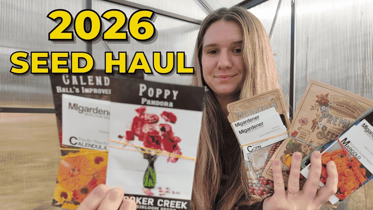 Весь мой сад начинается с этих семян | Покупка семян в 2026 году