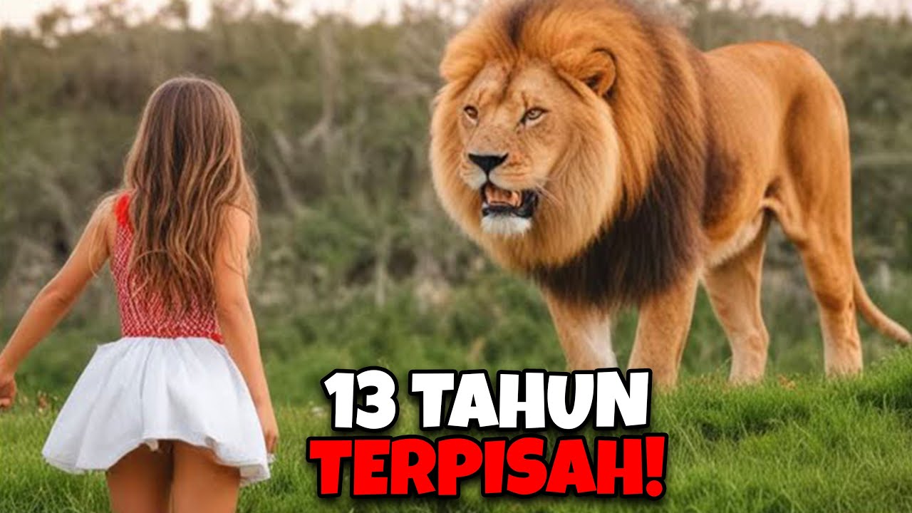 13 TAHUN TERPISAH! Kumpulan Momen Hewan Ketemu Majikan Lagi dan Sungguh Mengharukan!