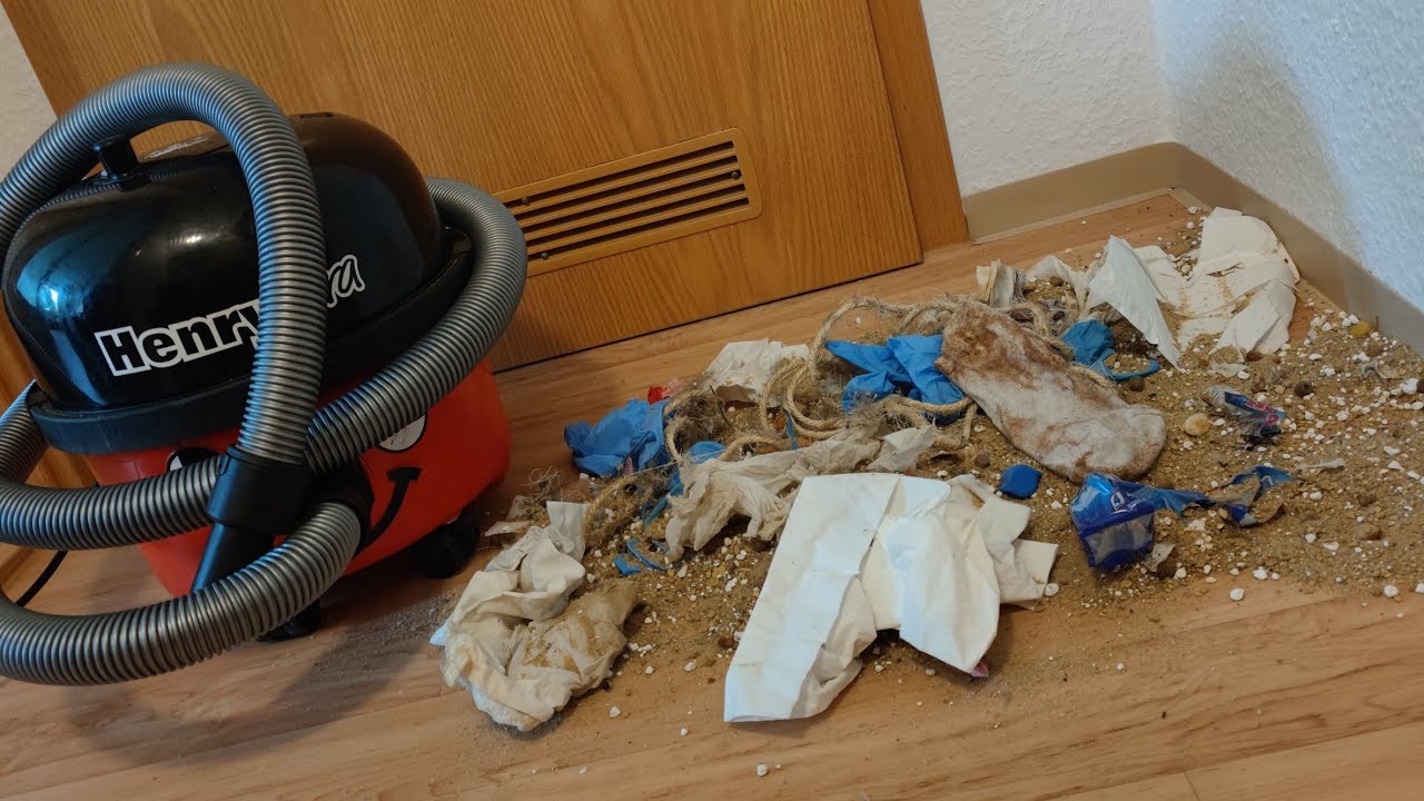 (50 Abo Special) Big fun with Henry hoovering up a big pile of dirt