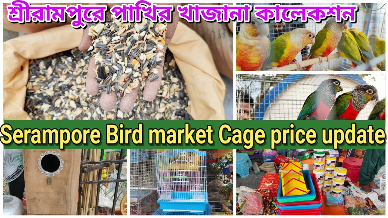Serampore Pet Market Cage price update ।। শ্রীরামপুর হাটে পাখির খাবারের দাম ।।#serampore #birds
