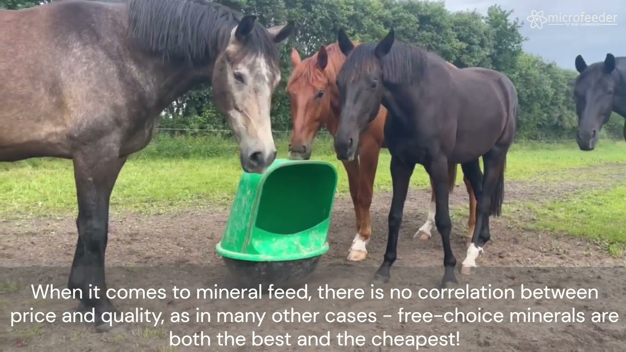 MineralRocker for horses