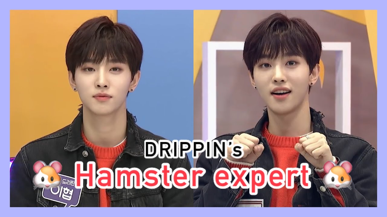 [DRIPPIN] Hyeop the hamster expert - FactiNStar 201127