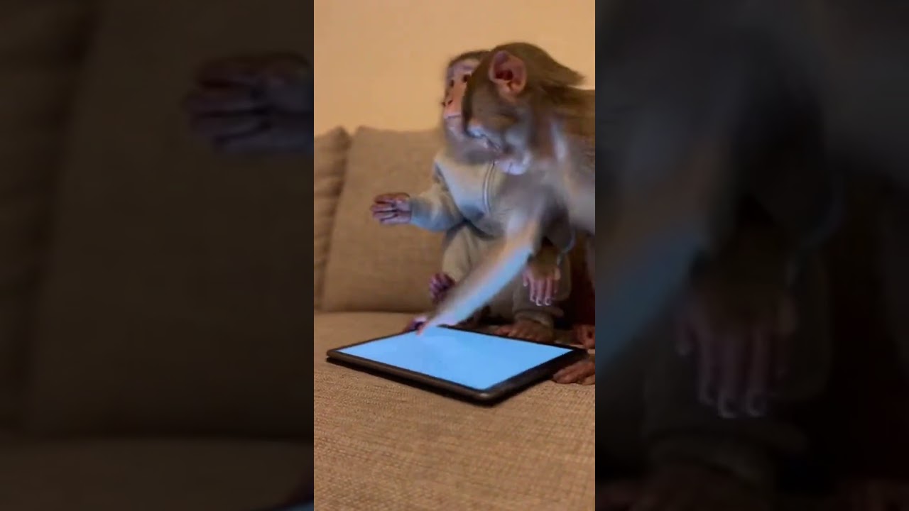 Mom is annoyed at babys phone addiction Time to unplug and play 