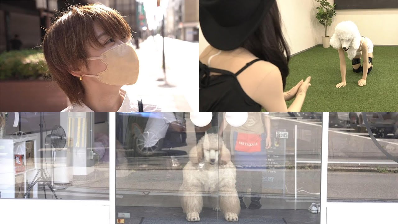 今日から私はドッグトレーナー！のはずが調教を受けてレンタル犬に