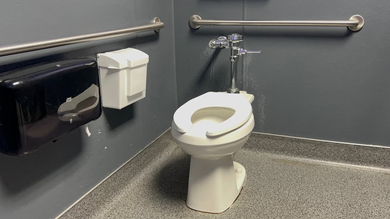 ProFlo Toilet Flush | Sky Zone, Covina, California, USA | Desensitization Training