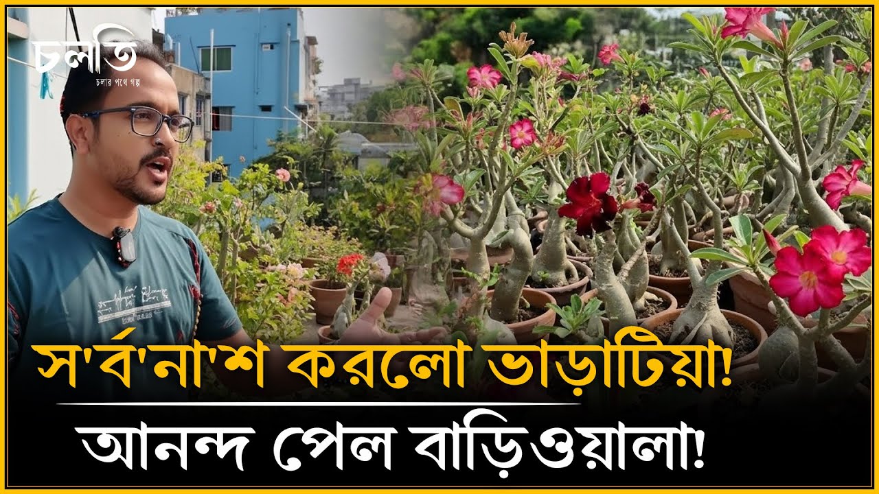 কোন পরিস্থিতিতে ব্যাচেলর থাকা ‌‌'পা'পে'র কাজ'? আপনি একমত? | চলতি কৃষি