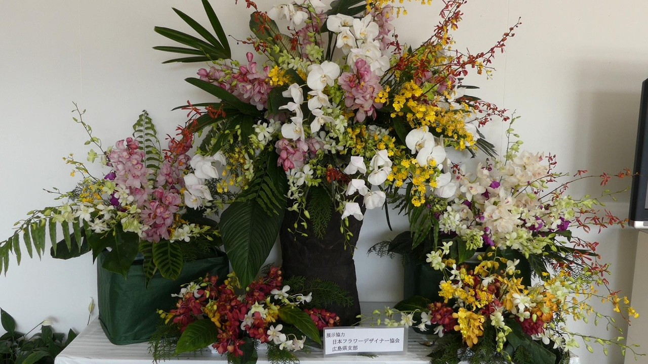 春の特別ラン展２０２６