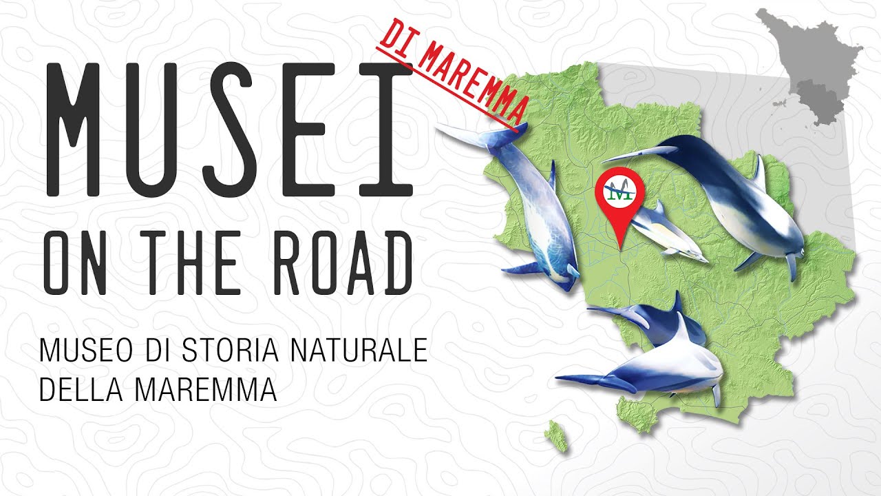 Grosseto, il Museo di Storia Naturale della Maremma