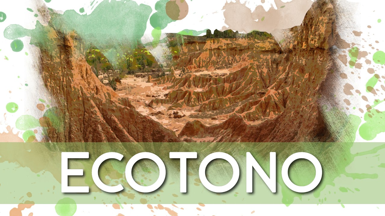 Ecotono Podcast - Dosis Natural