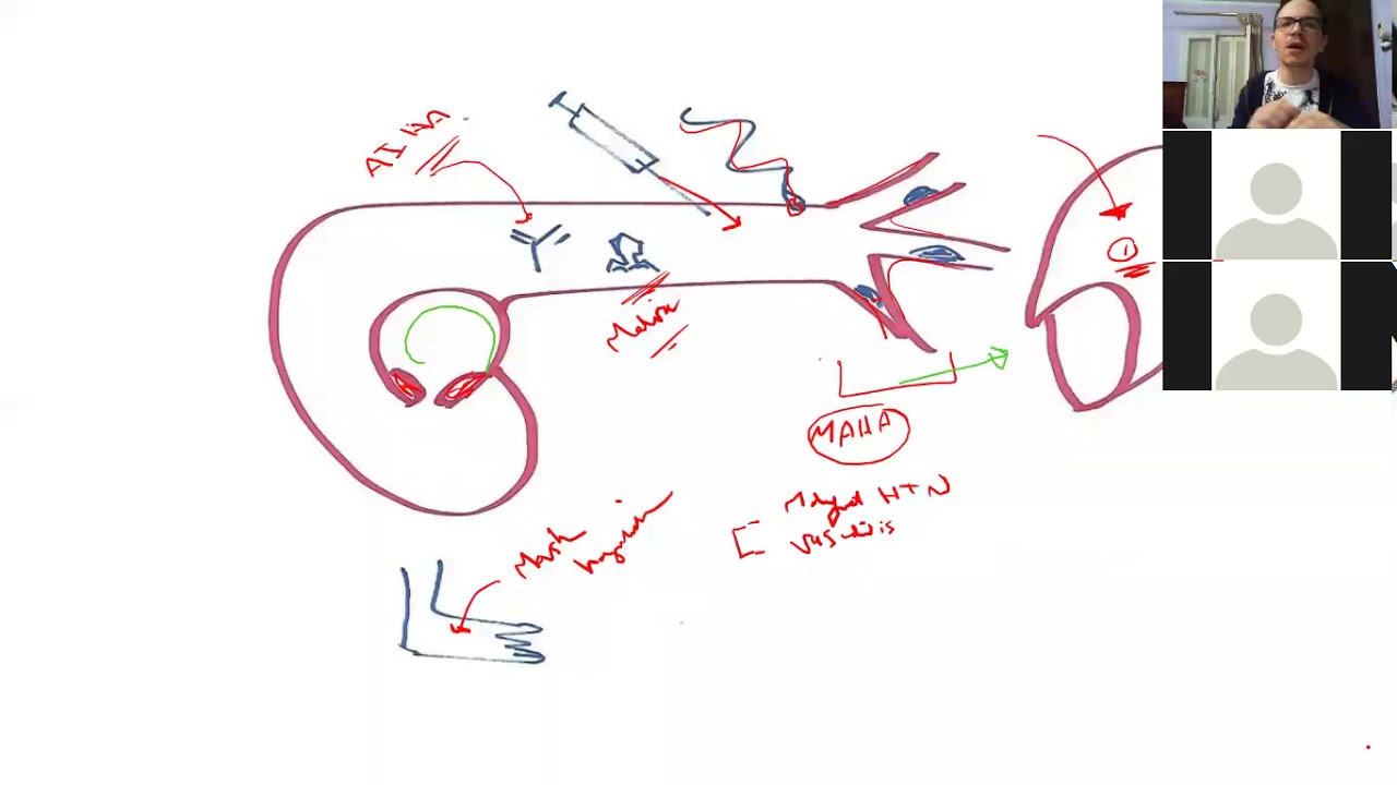 Hematology 5b