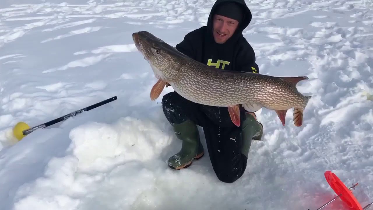 Tobin Lake Northern Pike