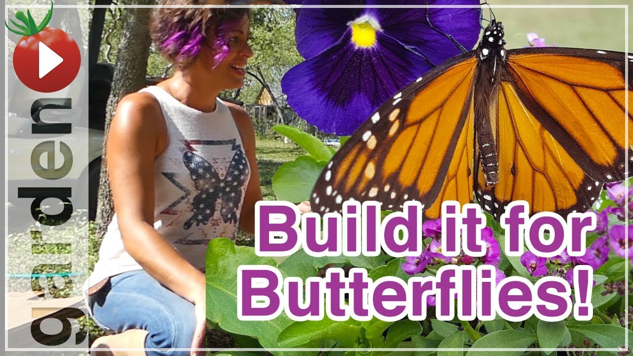 Building A Butterfly Garden - With Drake White The Butterfly Lady - Part 1