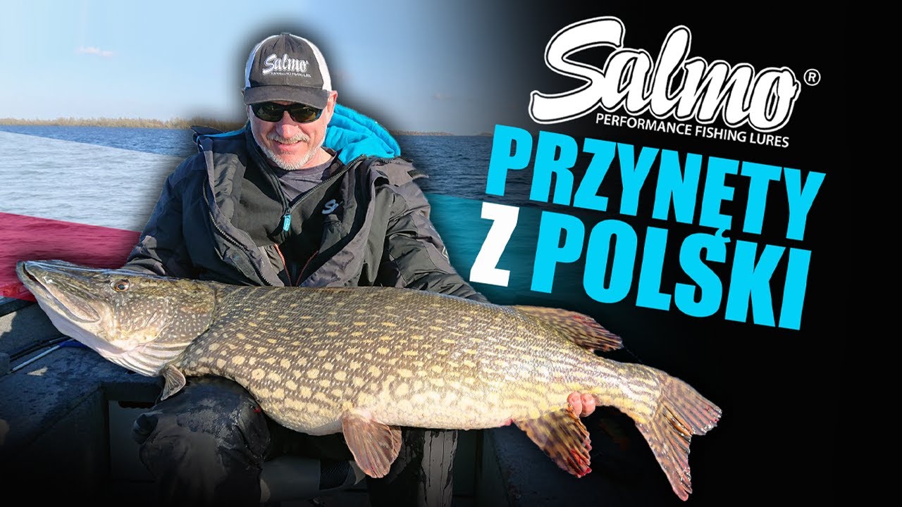 SALMO PRZYNĘTY Z POLSKI