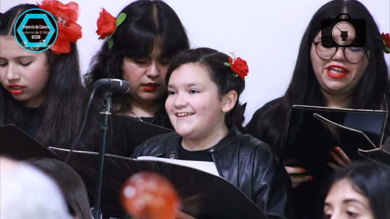 ORQUESTA DE CÁMARA 