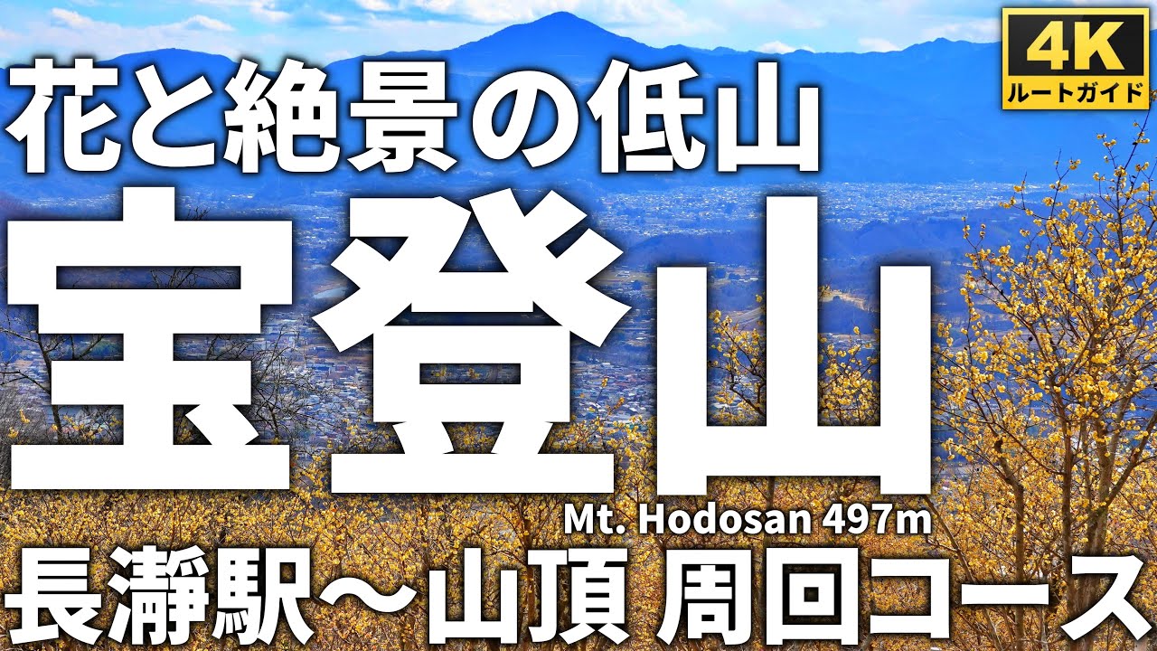【徹底解説】宝登山 ～花と絶景の低山～ （長瀞駅～宝登山神社～山頂～不動寺 周回コース） Course Guide of Mt.Hodosan.