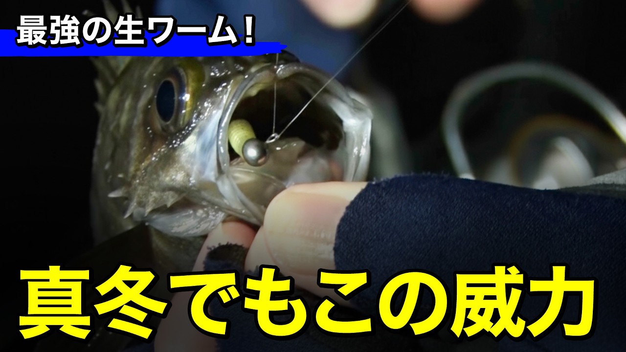 皮一枚のアタリがとれる高感度竿とバイオベイトのセットが最強すぎた｜ルアルアチャンネル第591回（2/6）