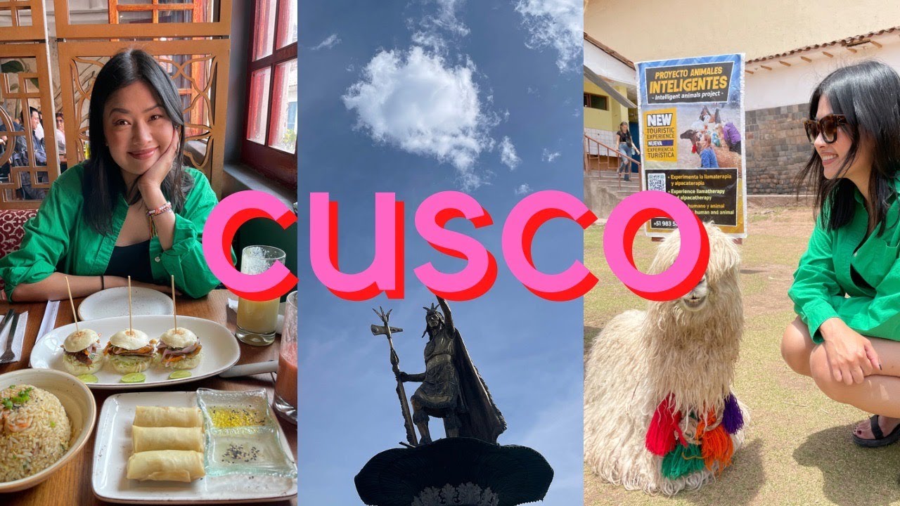 🇵🇪 CUSCO TRAVEL VLOG 2023 | 1 Day in Cusco | Drinking Pisco Sours, Kissing Llamas 🦙, Eating Chifa