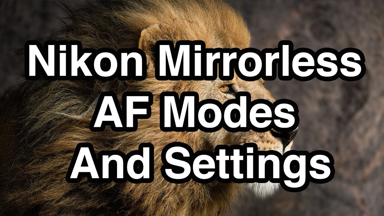 Nikon Mirrorless AF Modes And Settings