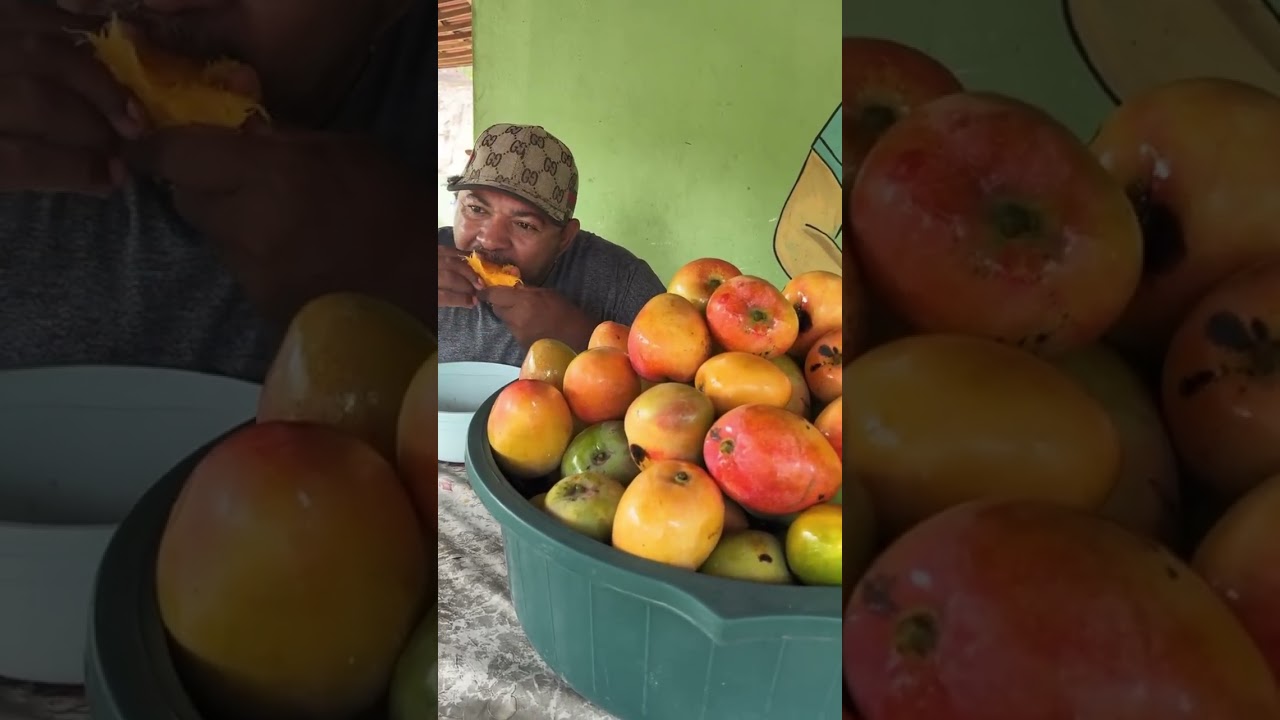 A fome chegou vamos comer pessoal 
