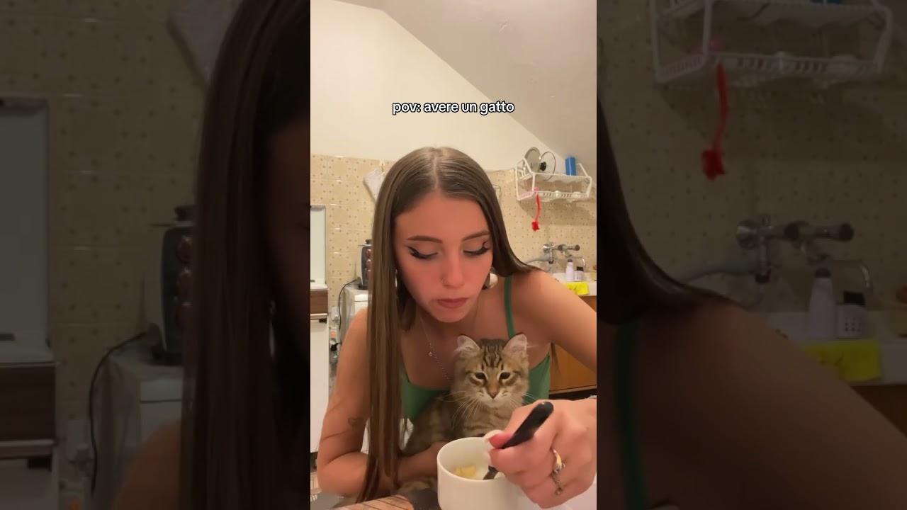 Com&rsquo;&egrave; Avere Un Gatto?