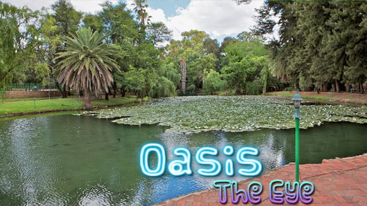 OASIS IN THE DESERT | THE EYE
