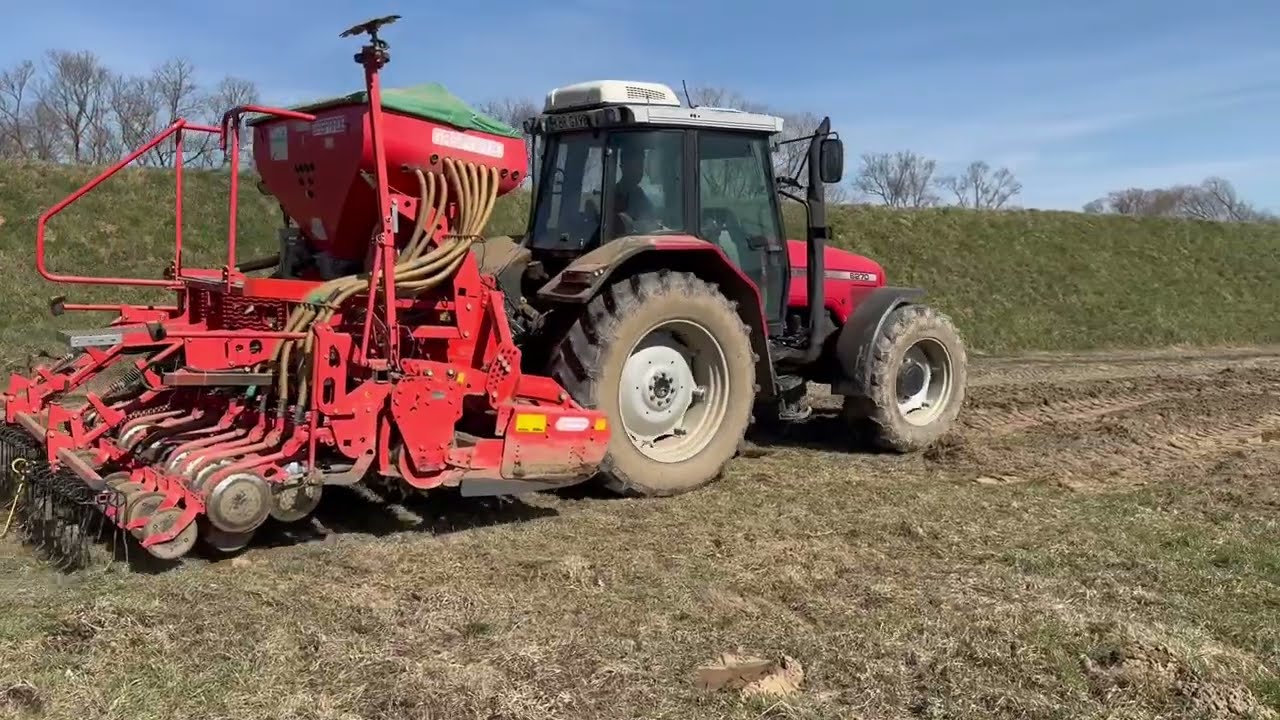Oporowy Siew Owsa 2025 MASSEY FERGUSON 6270 + MASCHIO GASPARDO ALIANTE 3M