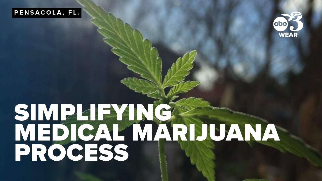 Florida bill could simplify medical marijuana card process, allow home growing