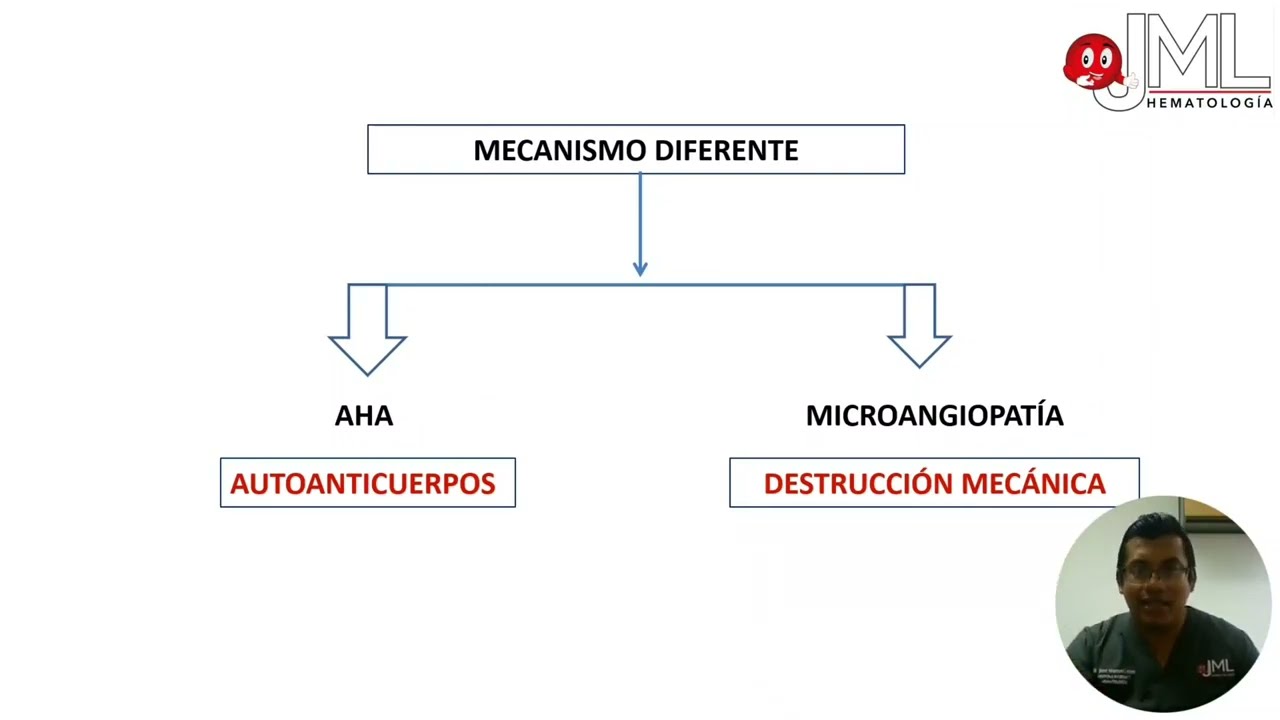 ANEMIA HEMOLÍTICA AUTOINMUNE VS ANEMIA HEMOLÍTICA MICROANGIOPÁTICA