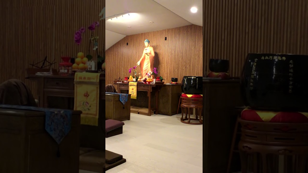 直播早晚課念佛，敬請參加每日早晚課念佛直播，美東時間，早課6:30-7:15am ，晚課 7-9pm